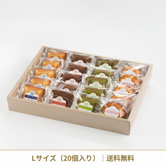 プティ・ガトーL 20個入り 送料無料（プロ撮影）
